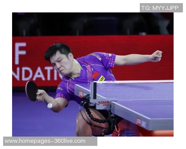 南京乒乓球队状态分析与表现评估探讨及未来发展方向研究